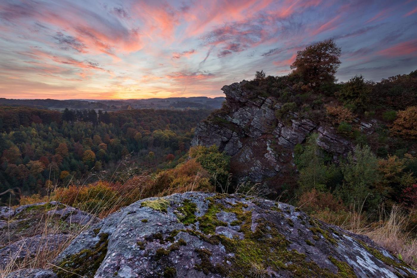 Coeur De Falaise, Normandie Suisse Normande Falaise  Eksteriør bilde